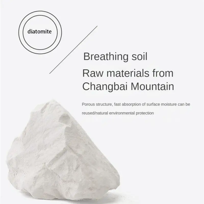 Moisture-proof Agent Strong Moisture Absorption Effective Advanced Moisture Absorption Technology Strip Natural Desiccant