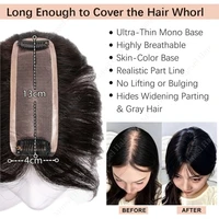 Prothèses capillaires en cheveux humains vierges pour femmes, base mono 4x13cm, légères, pour couvrir les zones clairsemées/cheveux gris, noir, brun, respirantes pour l'été 2