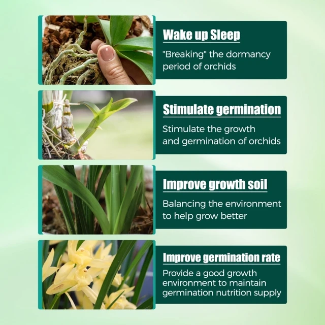 Gyors Gyökérgyökér Növekedés Fokozó Műtrágya-For Garden Hydroponic Pottedflower - Image 5