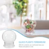 Glass Terrarium With Dome Ecological Bottle For Micro Landscaping Container Bell Jar Vases Home Decor Glass Plants Terrarium 5
