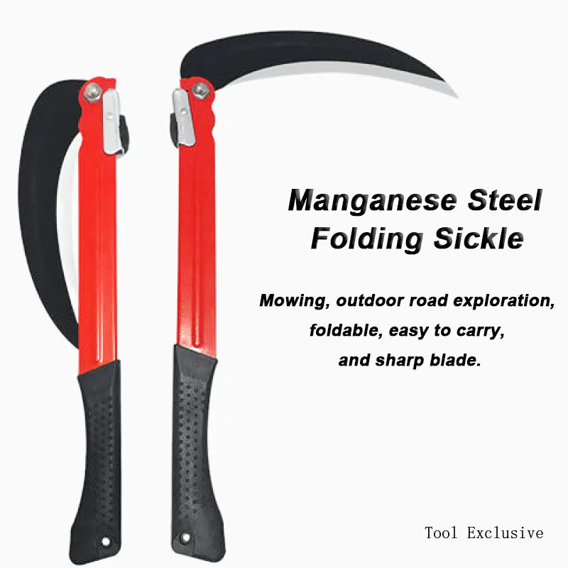 Slide image 4b6a31ce184b4b1eaf590a2181ae3ec6