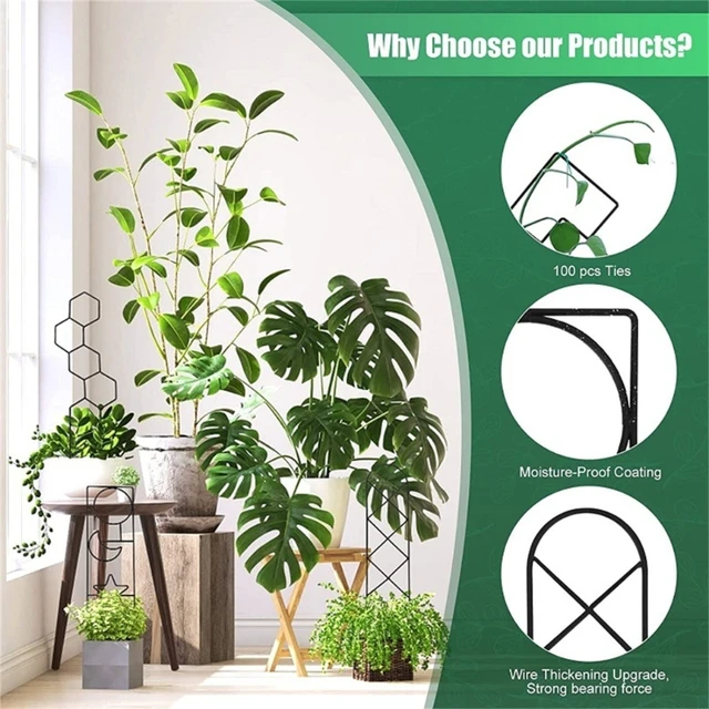 Plant StemClimbing Rack Plant Trellis Garden Support Stake Stand Vine Growth Flower Rattan-Climbing Rack Garden Supplies 5