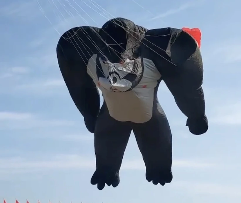 cartoon 7m soft kites for adults professional outdoor games child kites large flying toy ripstop wind indicatorwind indicator