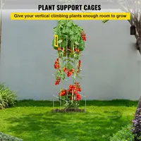 Tomato Cages, 11.8" x 11.8" x 46.1", 10 Packs Square Plant Support Cages, Silver PVC-Coated Steel Tomato Towers 2