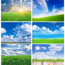 

Natural Landscape Photography Props Green Grass And Blue Sky With White Clouds Photo background Studio Props 211223 KKLL-01