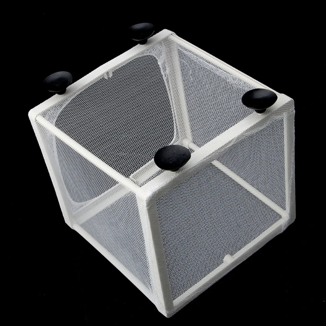 Caja De Cría Para Peces De Acuario | Aislante Con Malla Y Ventosas, Ideal Para Alevines Y Camarones