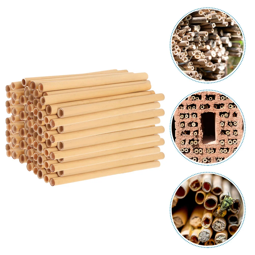 

50 Pcs Air Traffic Control Straight Bee Stalk Bees House Tube Tubes for Beehive