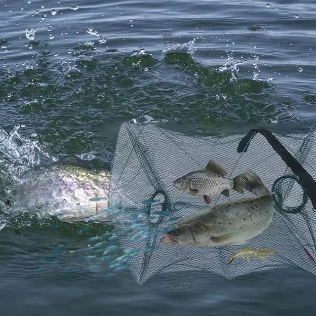 Minnow Csapdák A Halászat Hordozható Csapdájának Összecsukott Halcsapdák Összecsukható Garnélarák Háló Újrahasznosítható Csapda Horgászcsapdák - Image 4