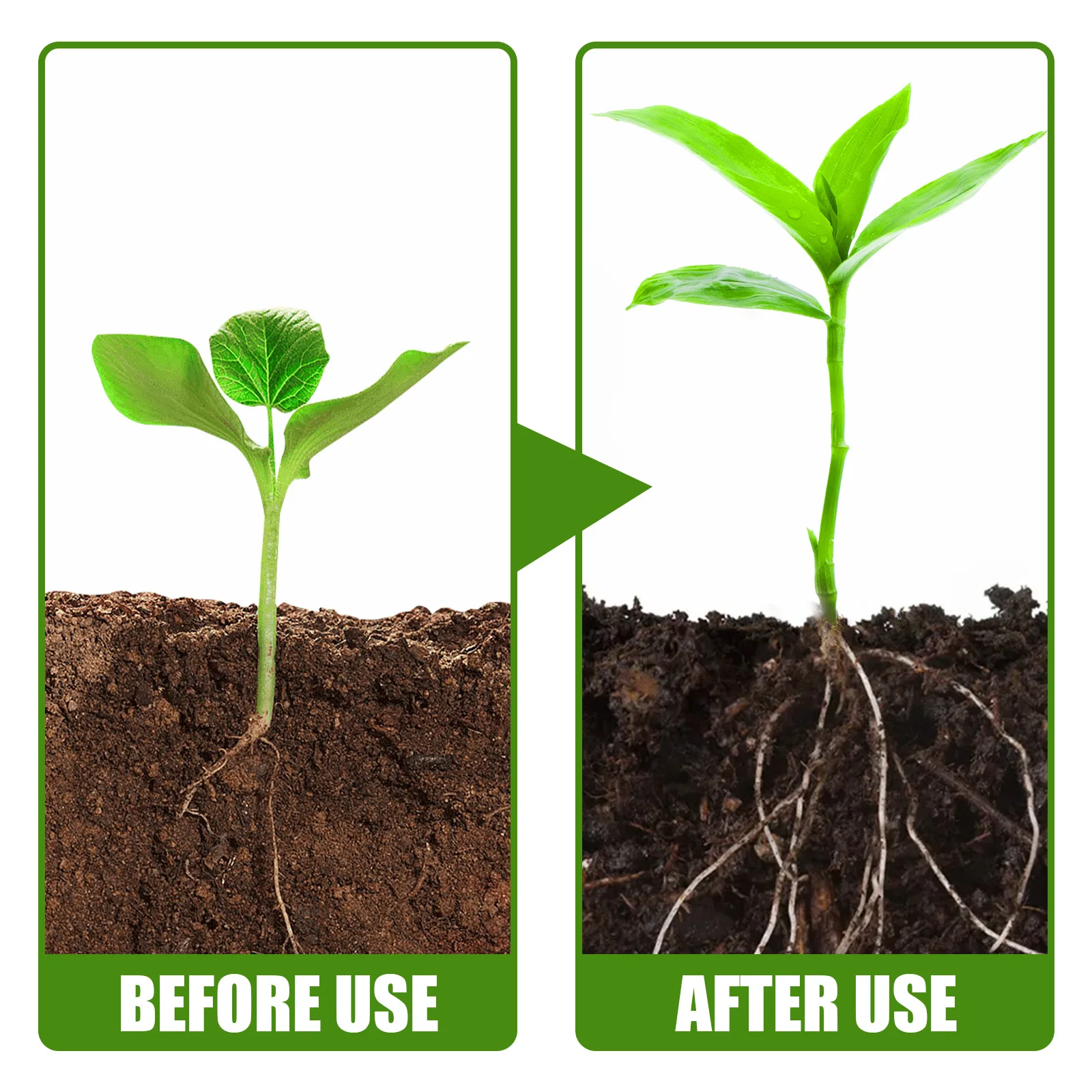 Plant Root Stimulator Rooting Powder for Plants