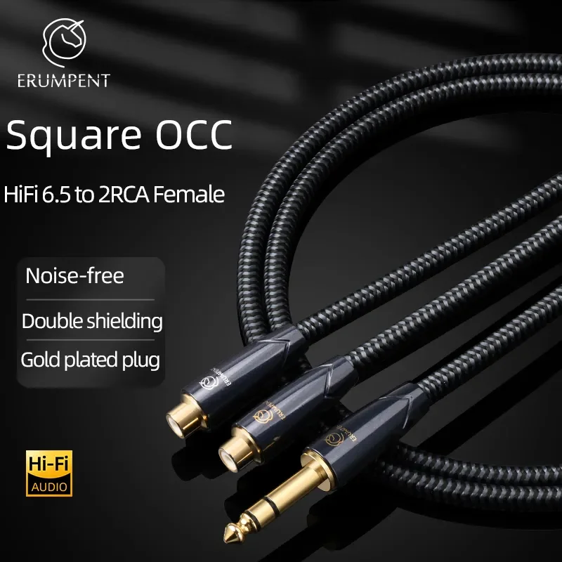 

ERUMPENT HiFi 6.5 to RCA Extension Cable 6N OCC 6.5 Jack to 2RCA Female Adapter Splitter for RCA Cable