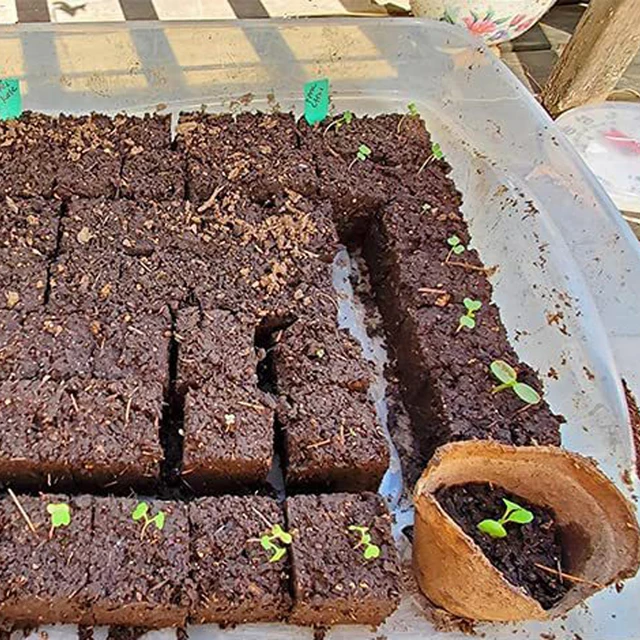 Kézi Talaj Blokkoló Egy/Kettős Soros Talajblokk Készítők Rozsdamentes Acél Mikro Palánták Óvodai Szerszámok Kerti Kellékek - Image 5