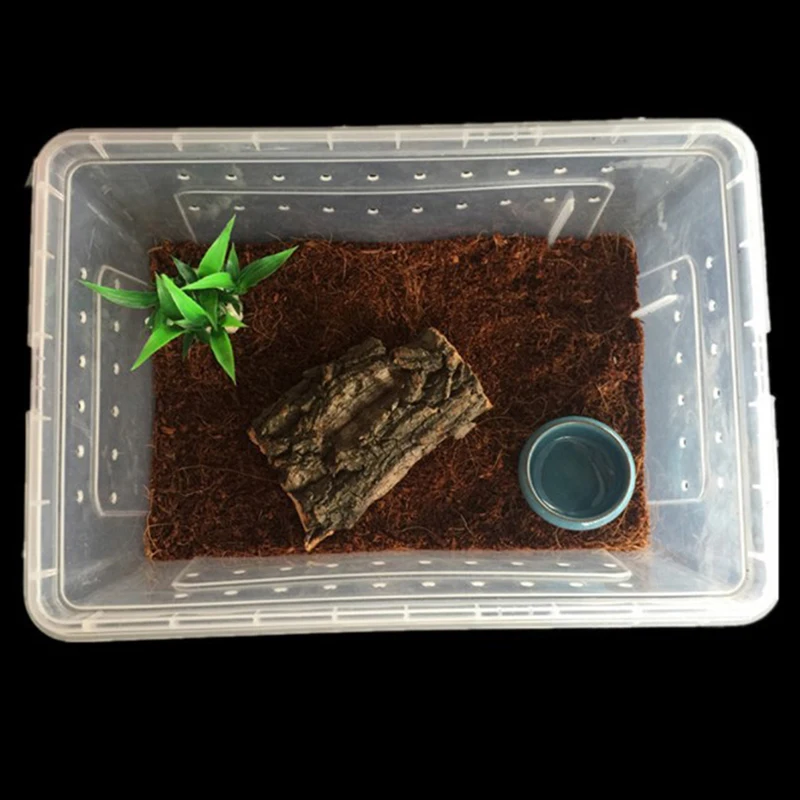 Raindrops 2pcs Reptile Feeding Box Snake Breeding Box Transparent Animal Feeding Container