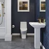Well Made Forever SM-1T277, Sublime II One-Piece Round Toilet, 10" Rough-In 1.1/1.6 gpf 6