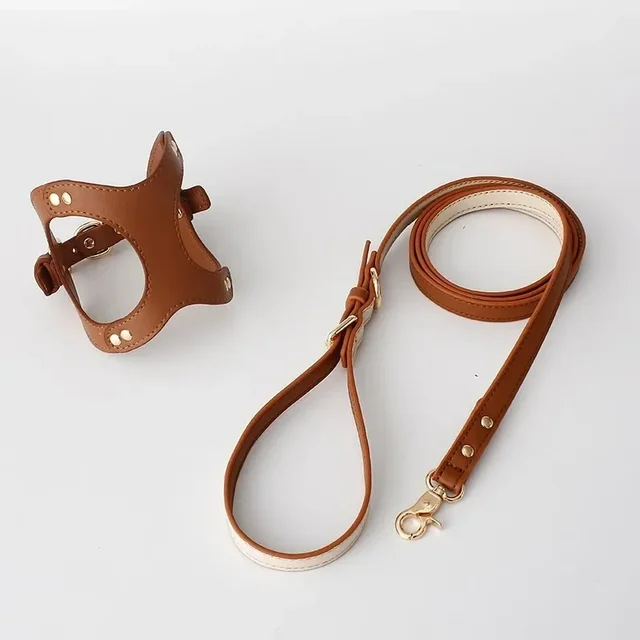 New Luxury Leather Pet Chest Strap Set Dog Leash Walking Cat Rope Medium and Small Dog Pet Supplies Puppy Accessories 2