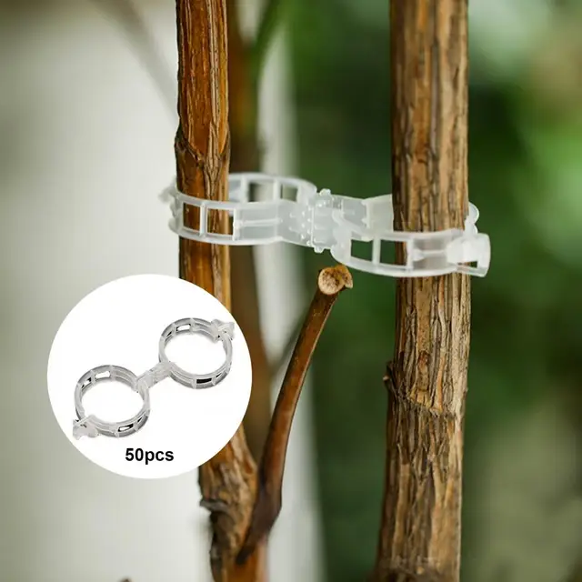 50 db Műanyag Növényi Klipek Támogatók Összekapcsolják Az Újrahasznosítható Védelem Oltását. Rögzítő Növény Zöldség Paradicsomos Szerszámok Kerti Kellékek - Image 2