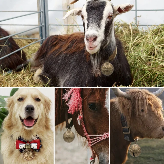 1Pc Sheep Pet Dog Copper Bells Animal Identification Feeding Device Farm Livestock Grazing Bells Pet Supplies 4