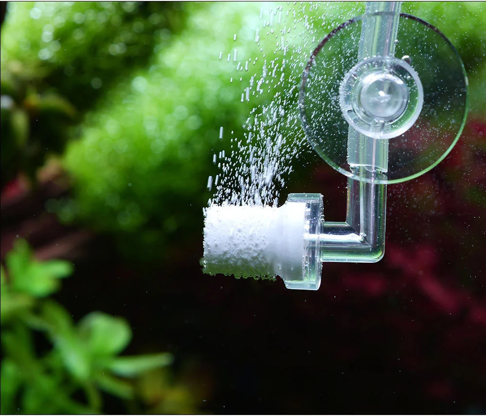 Qanvee co2 diffusor mini zerstäuber für aquascape aquarium zubehör kohlendioxid zylinder fisch tank verdampfer fischerei anlage – Detail 7