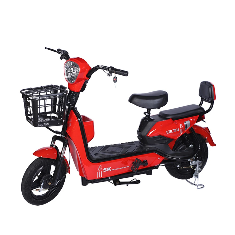 bicycle motor and battery