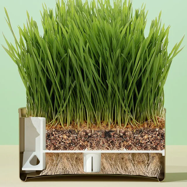 1Set Pet Cat Sprout Edény Termesztése Hidroponikus Növényi Macska Füves Csírázás Emésztés Indító Üvegházhatású Növekedés Doboz - Image 3