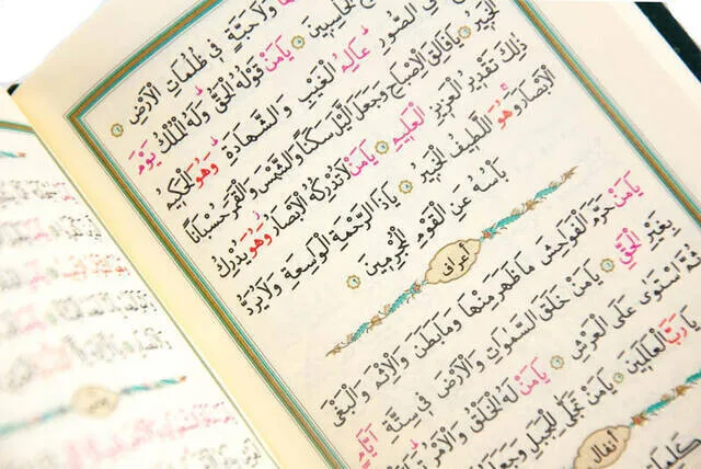 Рисунок 3 - Большой непринужденный арабский