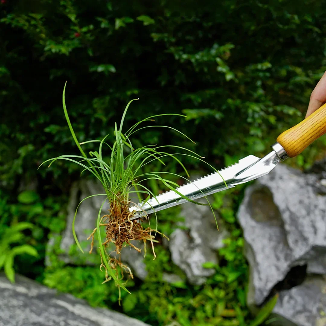 Garden Weeding Tools Stainless Steel Beech Handle Shovel for Stainless Steel Wood Handle Garden Removal Cutter Puller 4