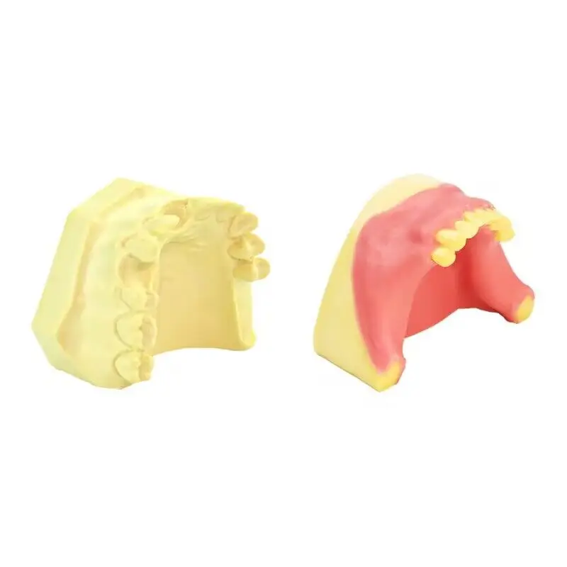 

Dental Teaching Teeth Model Dental Implant Practice Model Maxillary Sinus Lifting Exercise Model Dental Instrument Two Types