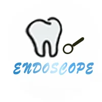 endoscope cameras Store