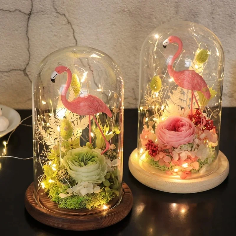 Glass Display Dome for Succulent Plants Home Decor DIY Figure Doll Display with Wooden Base