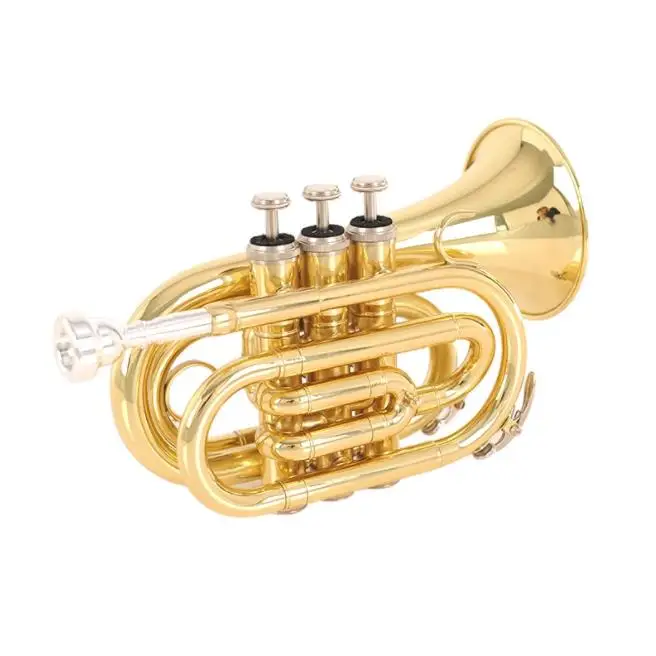 Cheap Bb Golden colorful pocket Trumpet for Sale