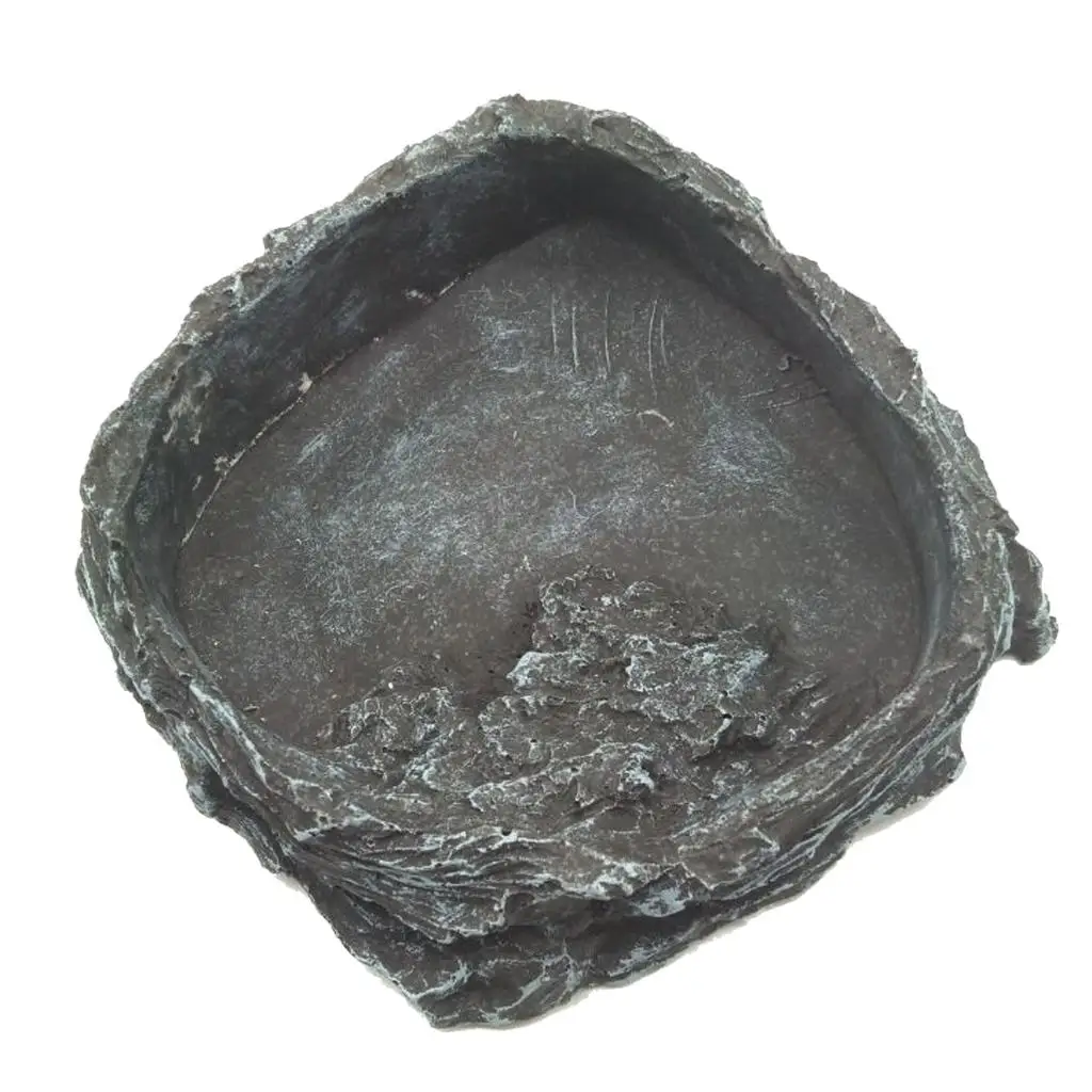 Reptile Amphibians Food Water Dish Pet Turtle Tortoise Scorpion Reptile Amphibians Food Water Dish Pet Turtle Tortoise Scorpion