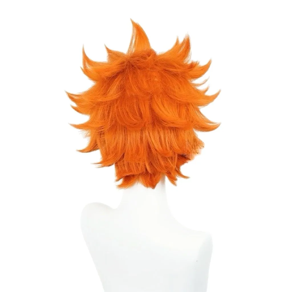 Ashely Hinata Shoyo Cosplay Wig Shoyo Hinata High Quality 30cm Short Orange Heat Resistant Synthetic Hair Anime Role Play Wig