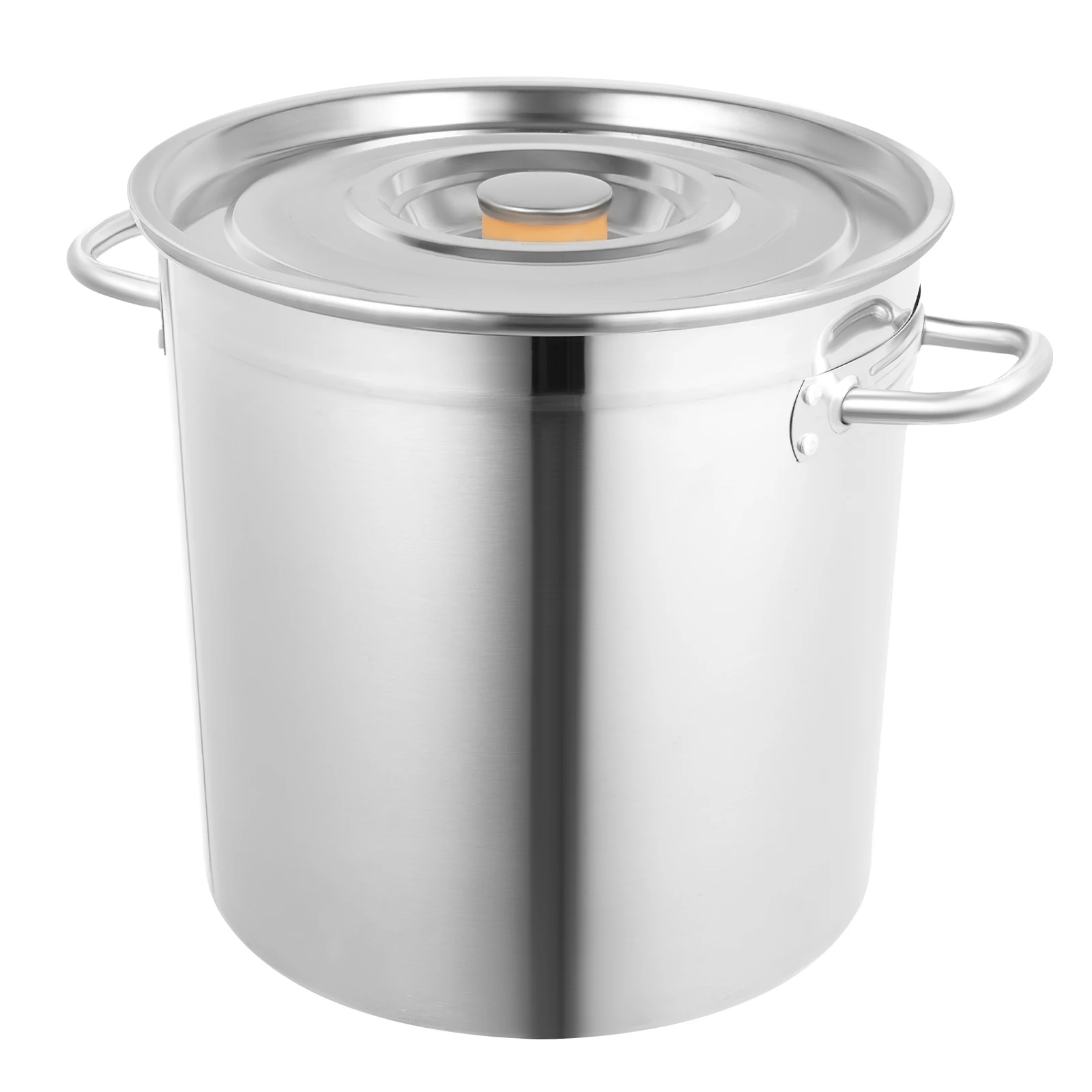 Stainless Steel Stockpot