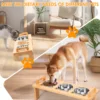 Stainless Steel Elevated Cat feeder Bowl Stand with 3 Dishes Feeder for Dry Wet Food Water AntiSlip Double Handl Cat accessories 6