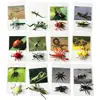 12PCS Montessori Animal Cards Funny Insect Figurines Toys with Matching Cards for Children Preschool Educational Toys Flash Card 1