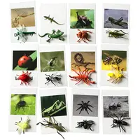 12PCS Montessori Animal Cards Funny Insect Figurines Toys with Matching Cards for Children Preschool Educational Toys Flash Card 1