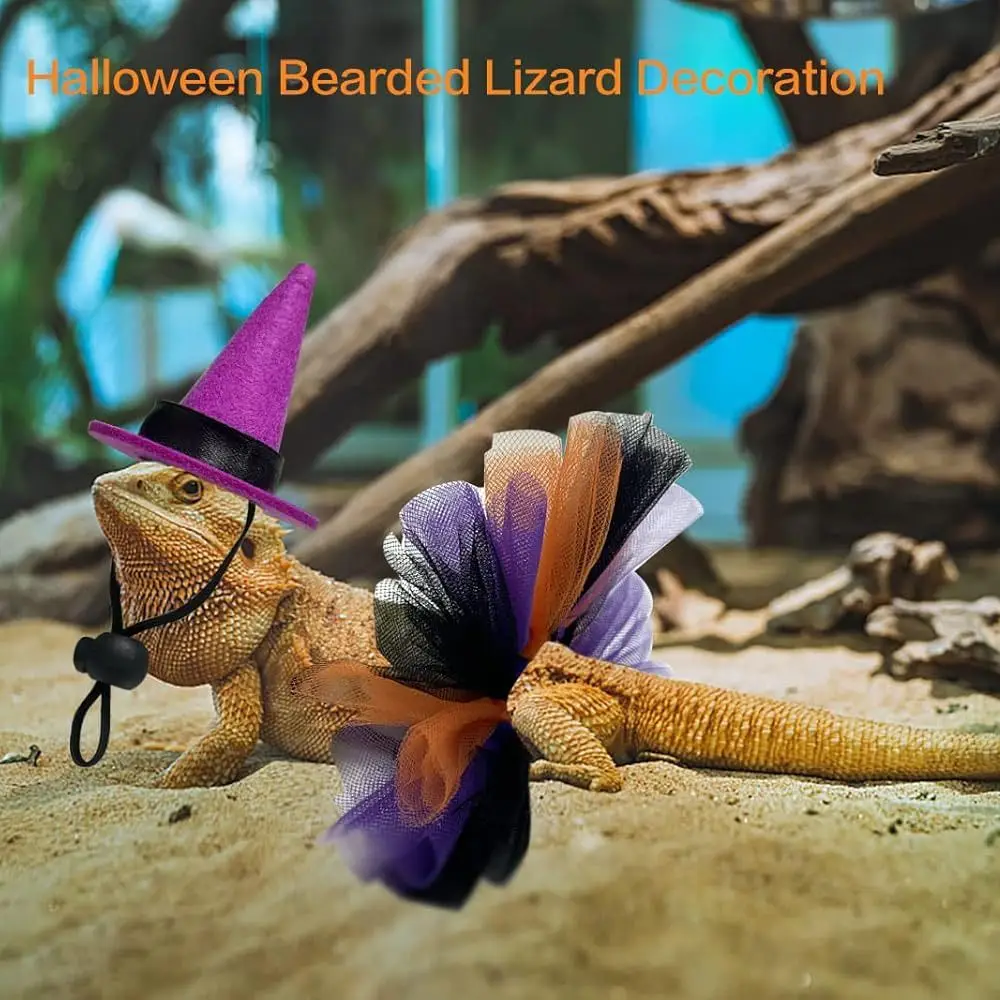 Funny Mini Pet Halloween Costume Comfortable Adjustable Hat Halloween Lizard Clothes Decorative Tutu Skirt