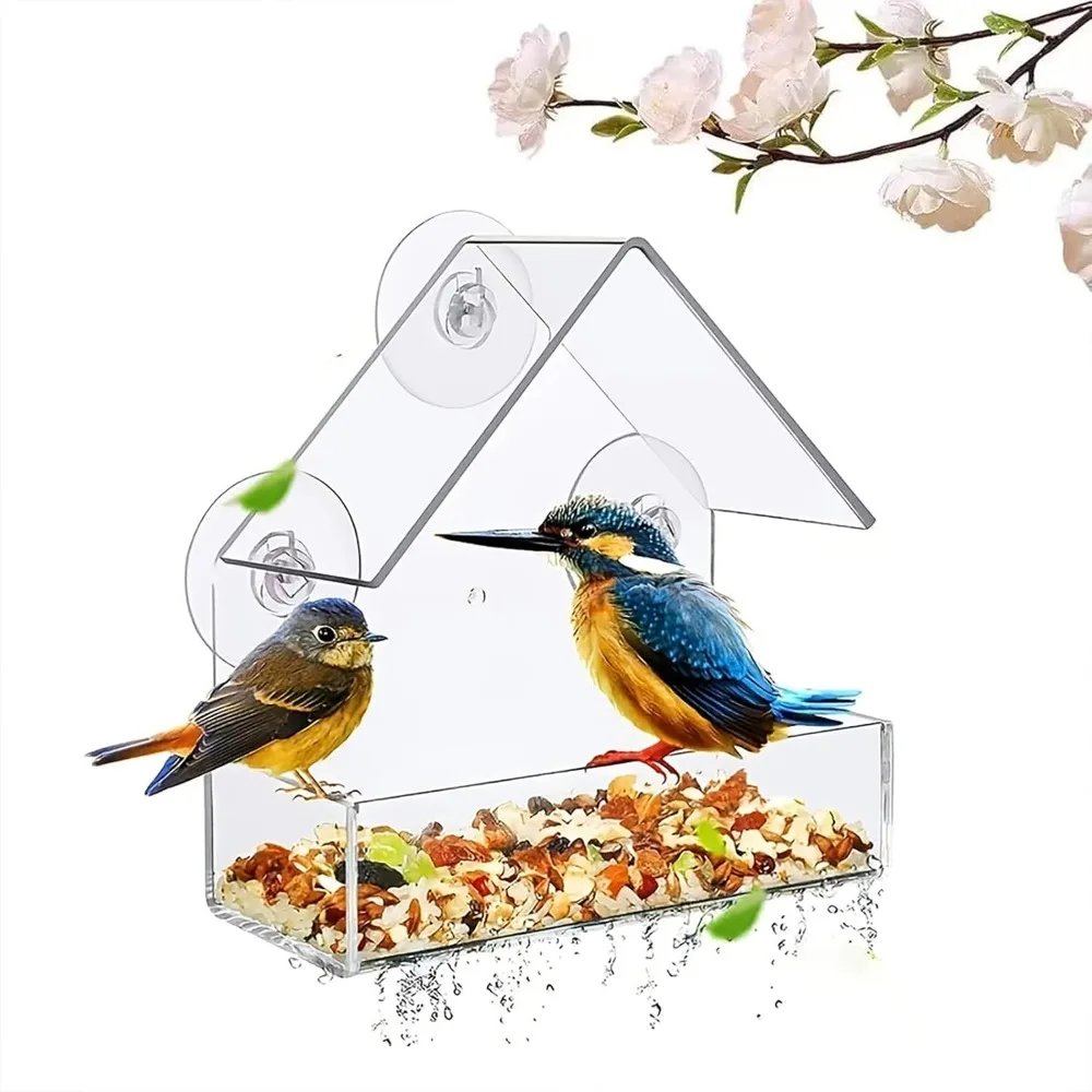Clear Window Bird Feeder 1
