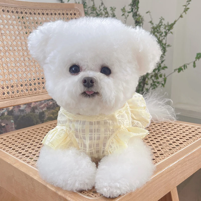 Chihuahua Vestiti Estate Cane Vestito Gatto Gonna Yorkshire Terrier Pomeranian Cane Abbigliamento Cucciolo Doggy Costume Abbigliamento Xxs