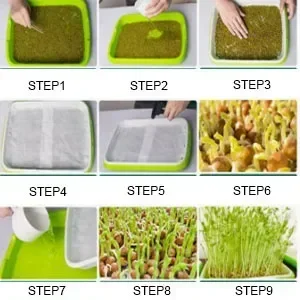 Hydroponic germination tray For Hydroponic Systems Sprout