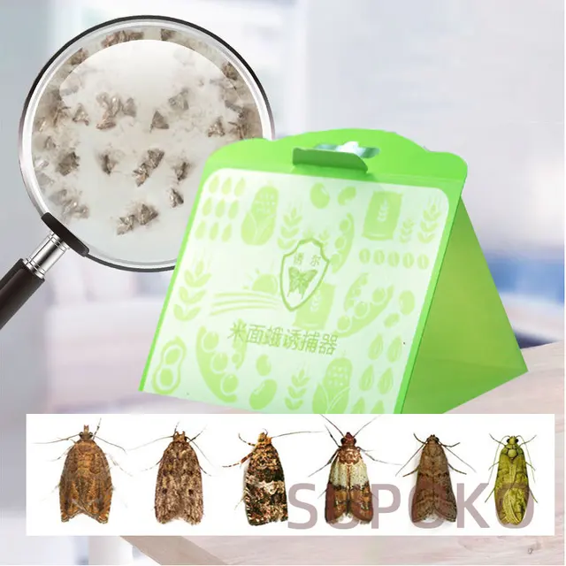 Moths Gyilkos Erős Tapadási Lepke Csapdabot Papírt, Hogy Csökkentse A Lepkék Fizika Becsapódási Buktató Gödör Horog Promóció És Ajándékok