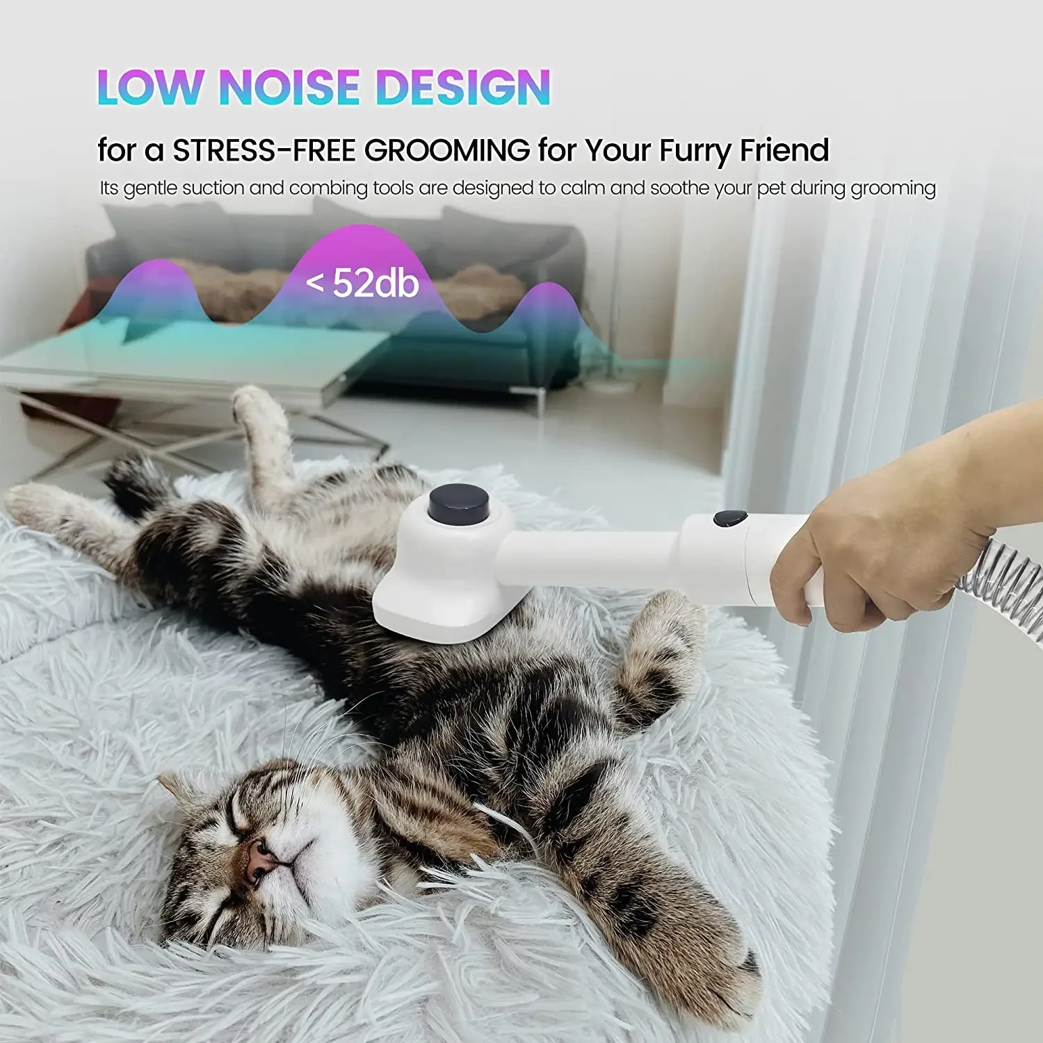 Best Pet Care Product Large Dust Cup Pet Grooming Vacuum For Dog