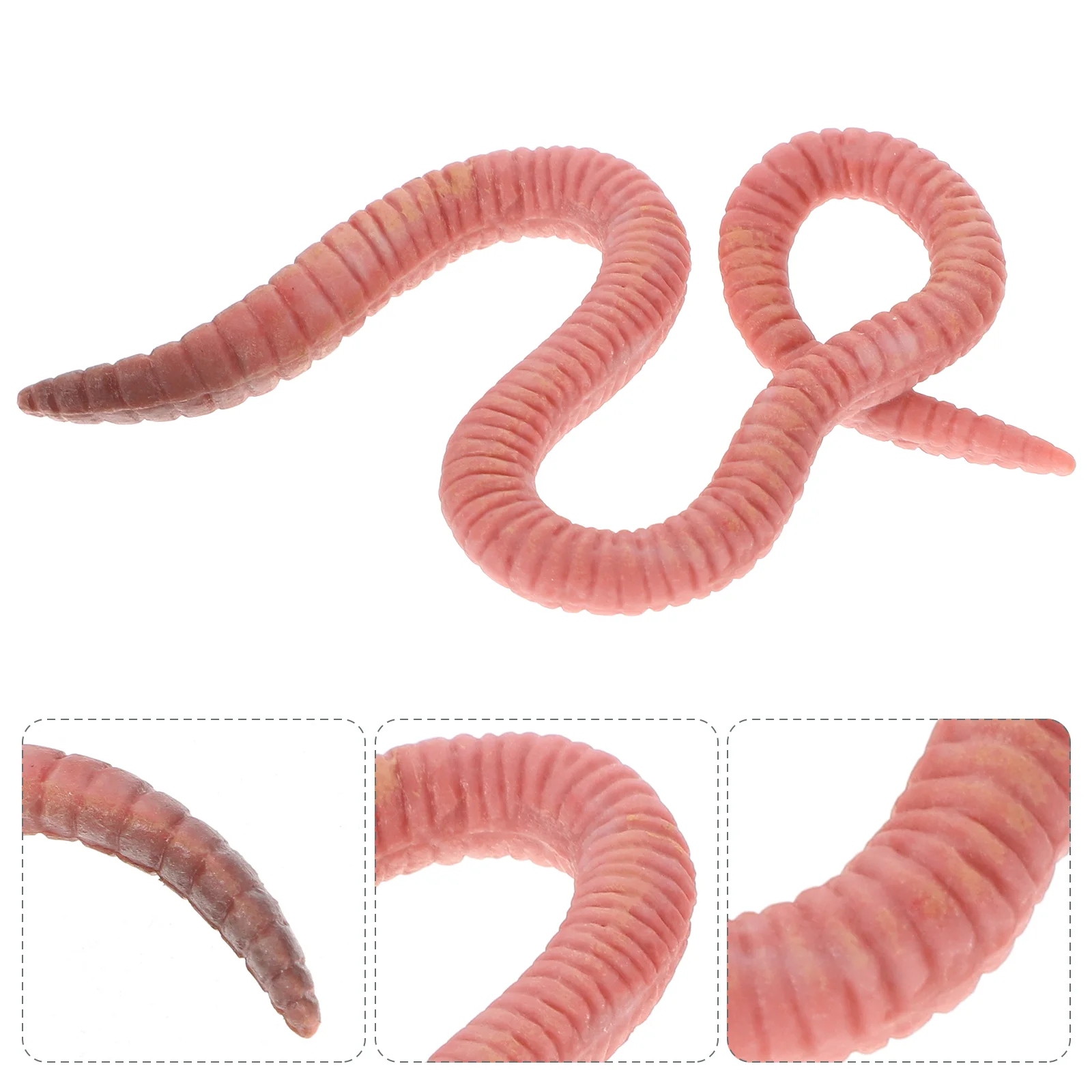 

Earthworm Model Toy Insect Decor Simulation Decoration Fake Figurine Figurines Tabletop
