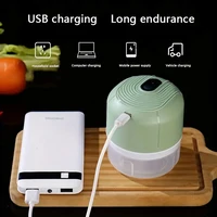Portable charging mini garlic grinder, 250ML garlic grinder, ginger, fruit, meat and other food processing machines 2