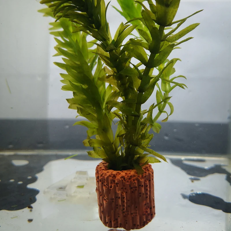 Fish Tank Decorations Aquarium Ornaments 10/20/50Pcs Aquatic Water Plant Fixed Ring for Aquarium Landscape Ceramic Plant Pot Ring Tool Decorations Fish Tank Accessories