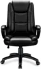 Ergonomic High Back Cushion Lumbar Back Support, Computer Desk Chair, Adjustable Executive Leather Chair with Armrest 1