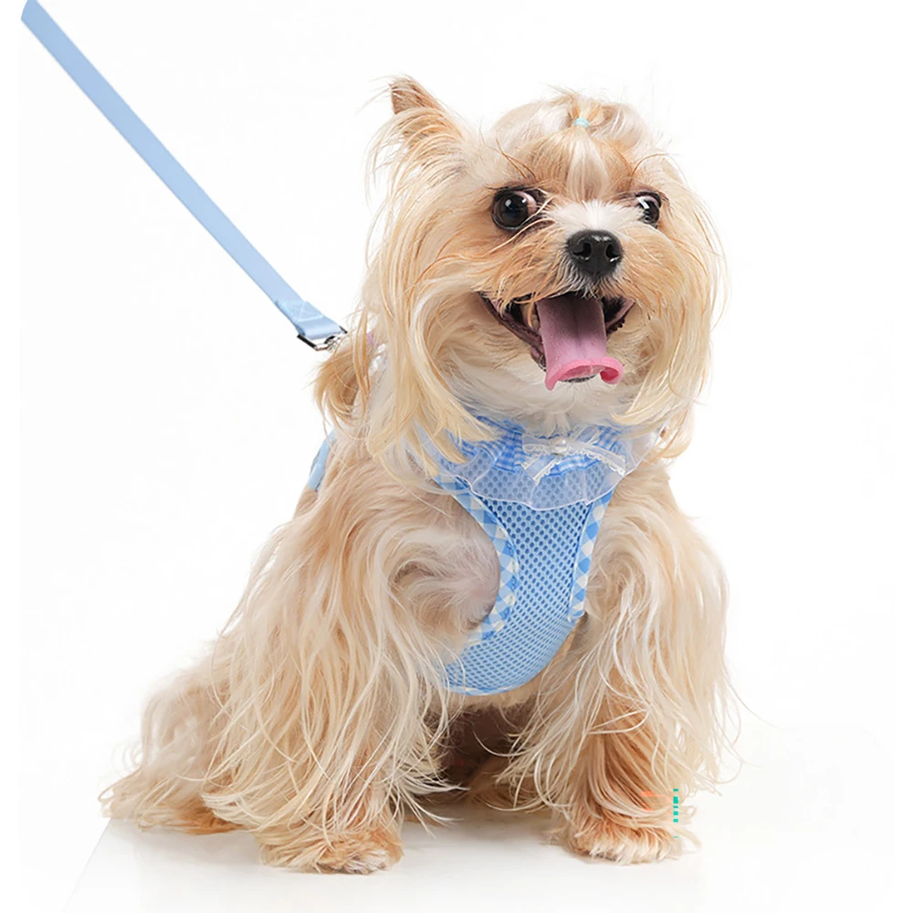 Breathable No-pull Dog Harness And Leash Set For Small Medium Dogs_voghion.com