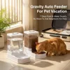 2-in-1 gravity pet feeder and water dispenser