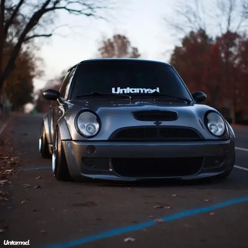 Untamed Stickers: Creative & Fashionable High-Quality Decals for Cars, Trucks, Motorcycles, and Laptops