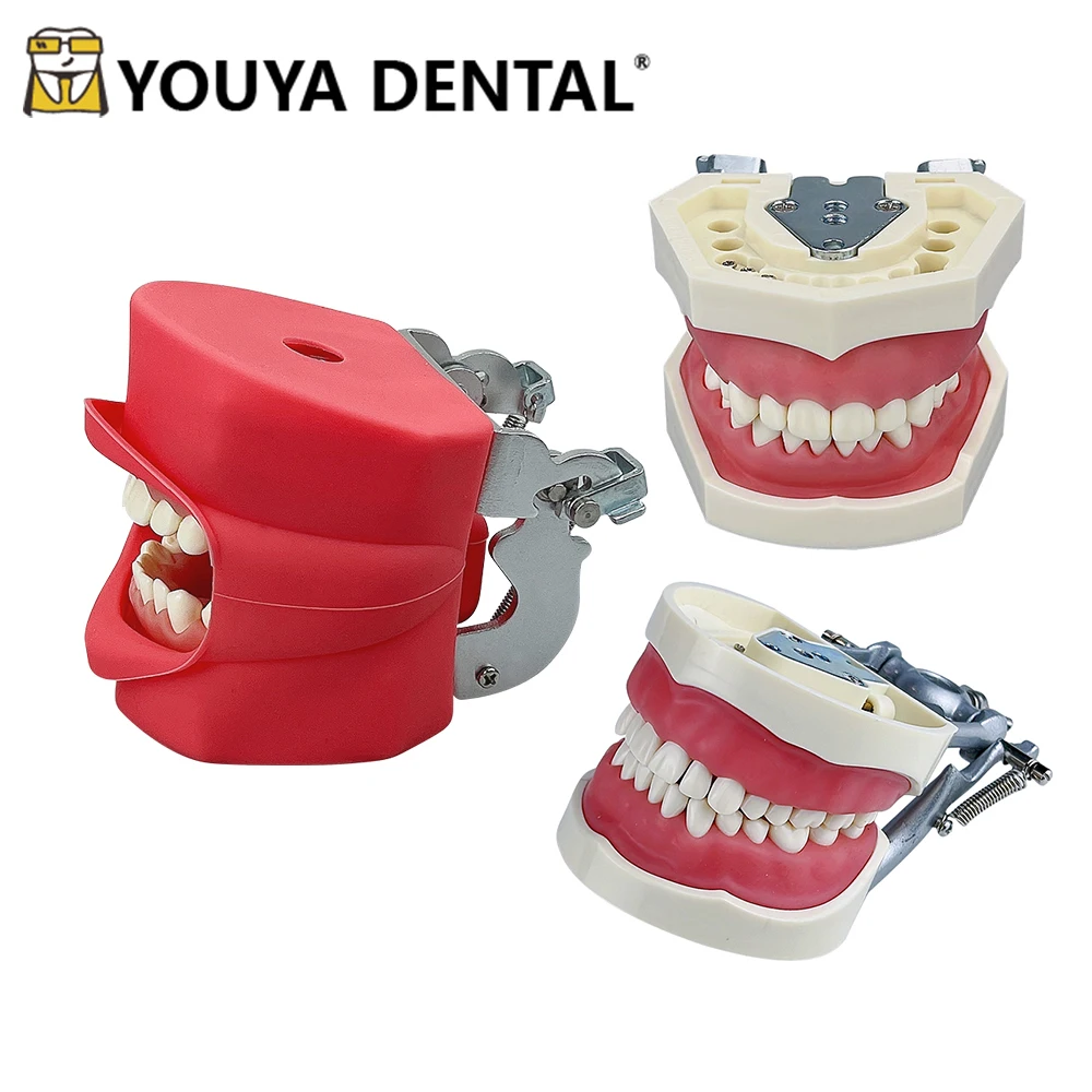 

Standard Dental Practice Model Silicone Mask for Dentist Student Practice Training Studying Oral Medical Demonstration Module