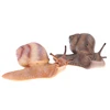 Simulation animal insect model mini animal snail growth cycle ornament 6